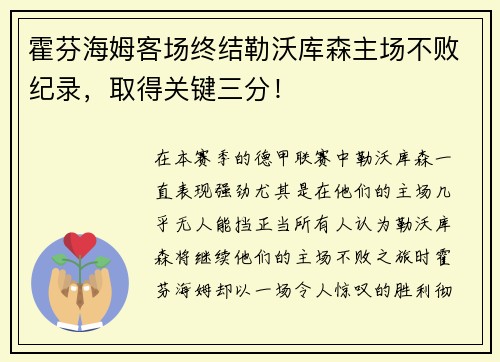 霍芬海姆客场终结勒沃库森主场不败纪录，取得关键三分！