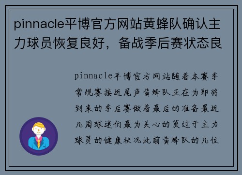 pinnacle平博官方网站黄蜂队确认主力球员恢复良好，备战季后赛状态良好 - 副本